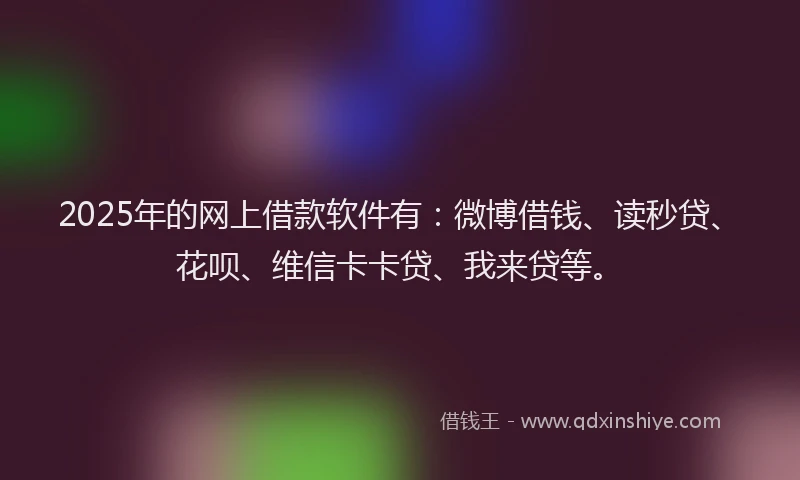 2025年的网上借款软件有：微博借钱、读秒贷、花呗、维信卡卡贷、我来贷等。