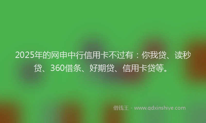 2025年的网申中行信用卡不过有：你我贷、读秒贷、360借条、好期贷、信用卡贷等。