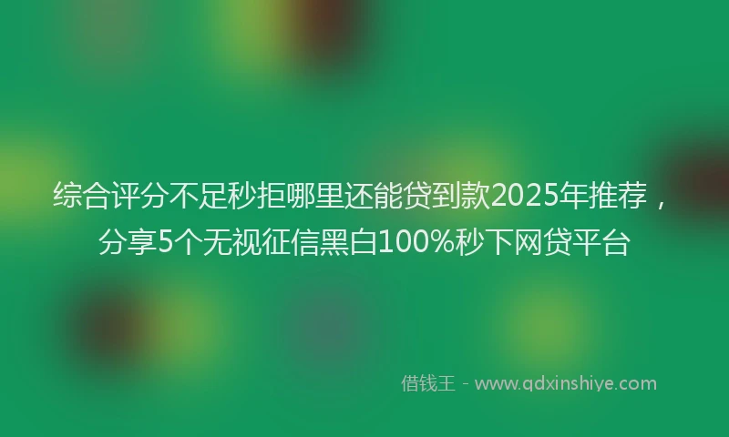 综合评分不足秒拒哪里还能贷到款2025年推荐，分享5个无视征信黑白100%秒下网贷平台