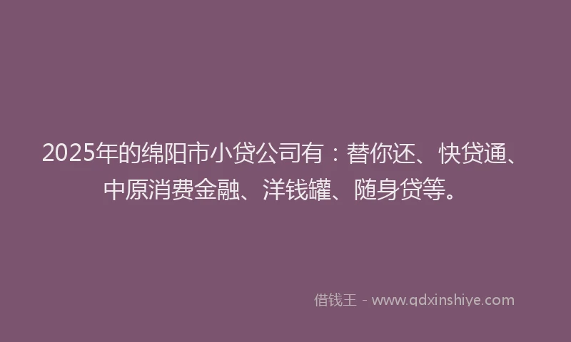 2025年的绵阳市小贷公司有：替你还、快贷通、中原消费金融、洋钱罐、随身贷等。