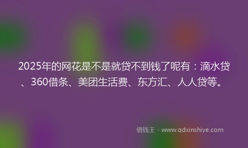 2025年的网花是不是就贷不到钱了呢有：滴水贷、360借条、美团生活费、东方汇、人人贷等。