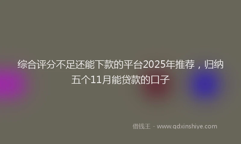 综合评分不足还能下款的平台2025年推荐，归纳五个11月能贷款的口子
