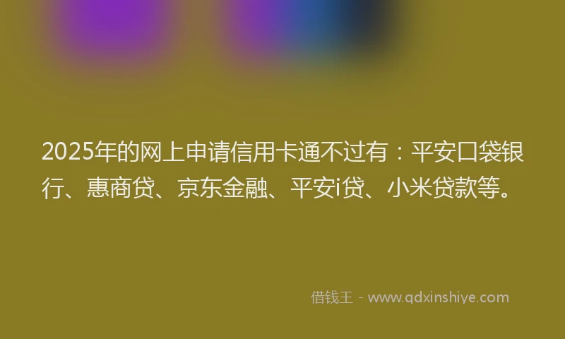 2025年的网上申请信用卡通不过有：平安口袋银行、惠商贷、京东金融、平安i贷、小米贷款等。