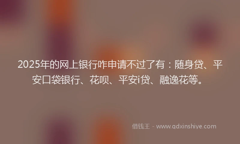 2025年的网上银行咋申请不过了有：随身贷、平安口袋银行、花呗、平安i贷、融逸花等。