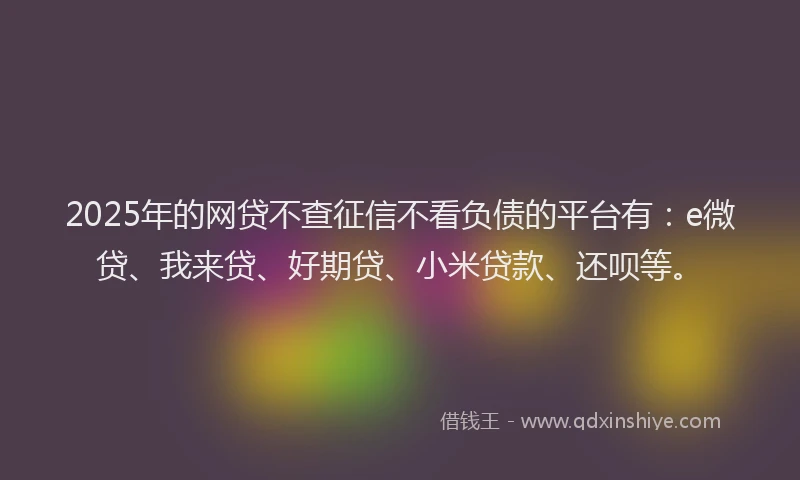 2025年的网贷不查征信不看负债的平台有：e微贷、我来贷、好期贷、小米贷款、还呗等。