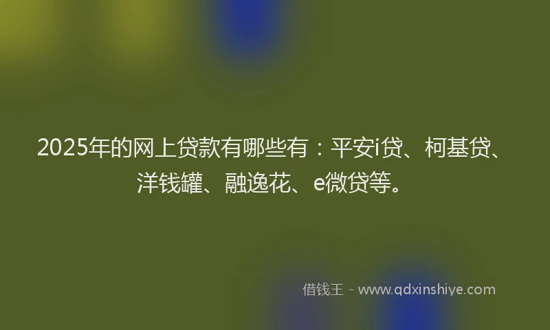 2025年的网上贷款有哪些有：平安i贷、柯基贷、洋钱罐、融逸花、e微贷等。