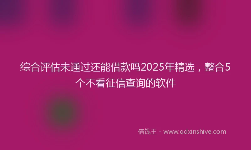 综合评估未通过还能借款吗2025年精选，整合5个不看征信查询的软件