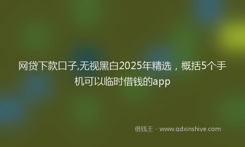 网贷下款口子,无视黑白2025年精选，概括5个手机可以临时借钱的app