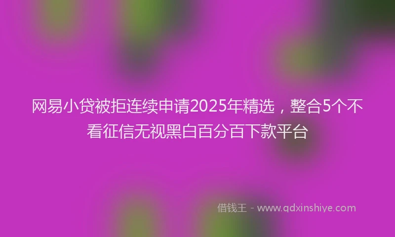 网易小贷被拒连续申请2025年精选，整合5个不看征信无视黑白百分百下款平台