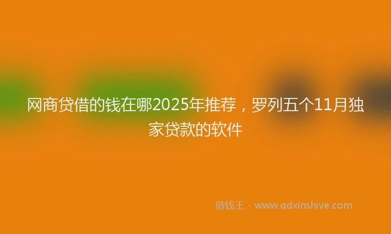 网商贷借的钱在哪2025年推荐，罗列五个11月独家贷款的软件