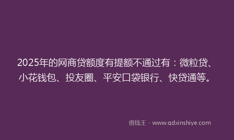 2025年的网商贷额度有提额不通过有：微粒贷、小花钱包、投友圈、平安口袋银行、快贷通等。