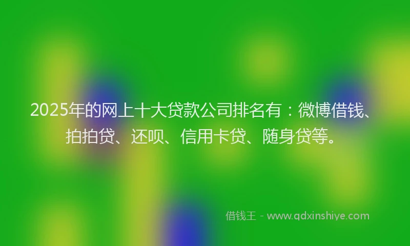 2025年的网上十大贷款公司排名有：微博借钱、拍拍贷、还呗、信用卡贷、随身贷等。