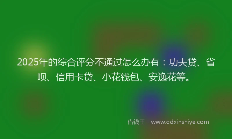 2025年的综合评分不通过怎么办有：功夫贷、省呗、信用卡贷、小花钱包、安逸花等。
