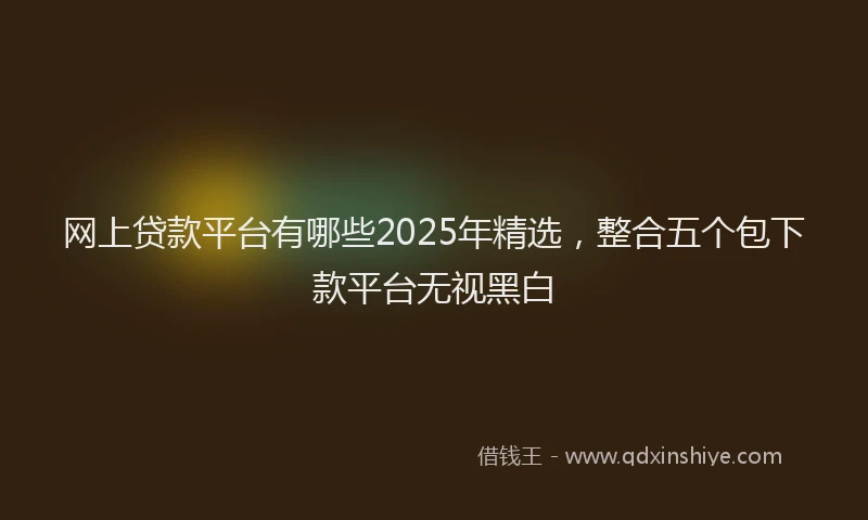 网上贷款平台有哪些2025年精选，整合五个包下款平台无视黑白