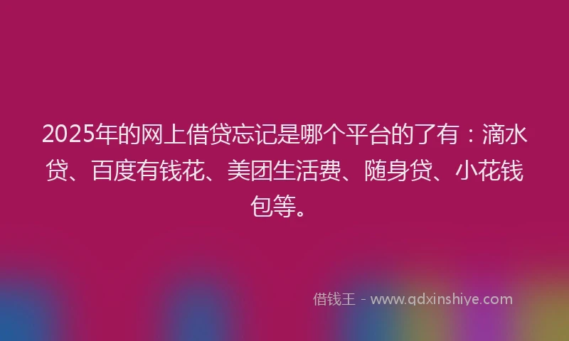 2025年的网上借贷忘记是哪个平台的了有：滴水贷、百度有钱花、美团生活费、随身贷、小花钱包等。