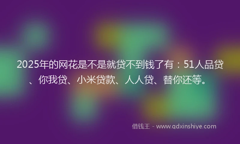 2025年的网花是不是就贷不到钱了有：51人品贷、你我贷、小米贷款、人人贷、替你还等。