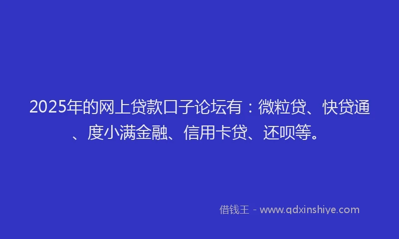 2025年的网上贷款口子论坛有：微粒贷、快贷通、度小满金融、信用卡贷、还呗等。