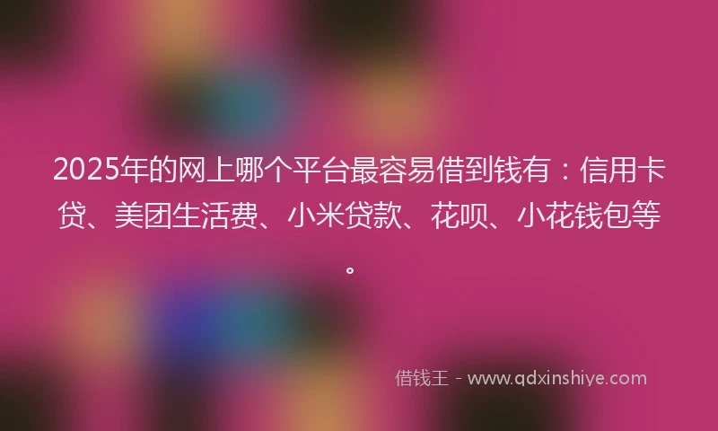 2025年的网上哪个平台最容易借到钱有：信用卡贷、美团生活费、小米贷款、花呗、小花钱包等。