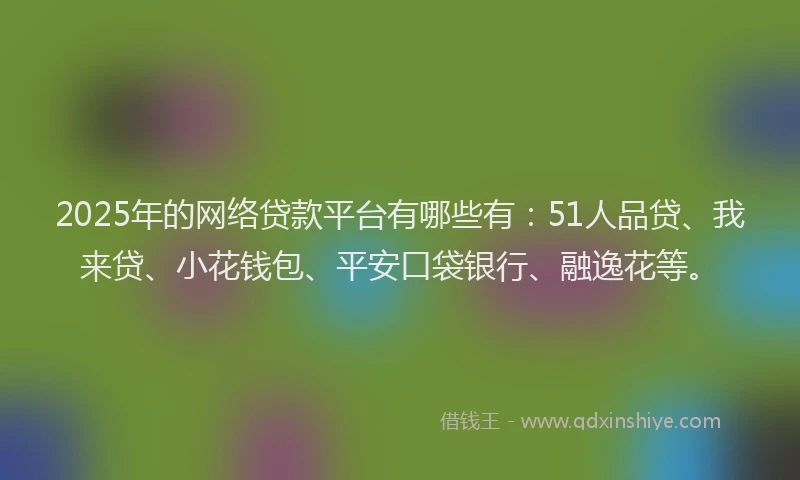 2025年的网络贷款平台有哪些有：51人品贷、我来贷、小花钱包、平安口袋银行、融逸花等。