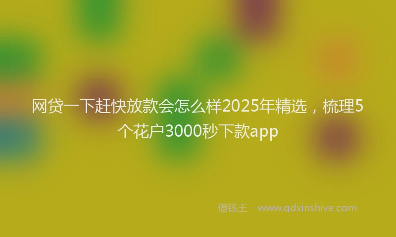 网贷一下赶快放款会怎么样2025年精选，梳理5个花户3000秒下款app