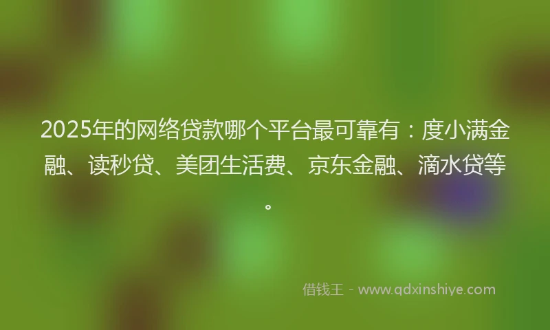 2025年的网络贷款哪个平台最可靠有：度小满金融、读秒贷、美团生活费、京东金融、滴水贷等。