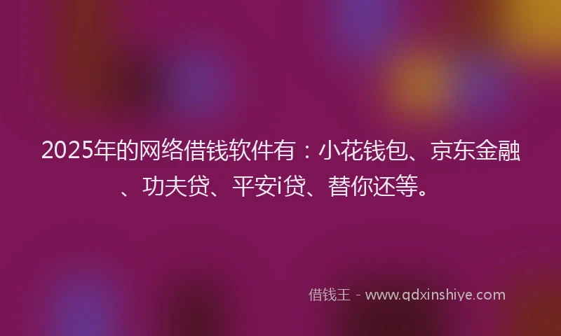 2025年的网络借钱软件有：小花钱包、京东金融、功夫贷、平安i贷、替你还等。