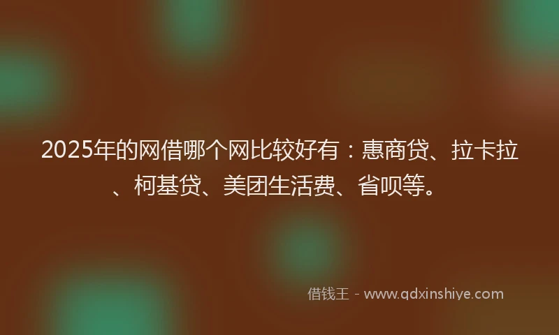 2025年的网借哪个网比较好有：惠商贷、拉卡拉、柯基贷、美团生活费、省呗等。
