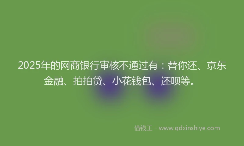 2025年的网商银行审核不通过有：替你还、京东金融、拍拍贷、小花钱包、还呗等。