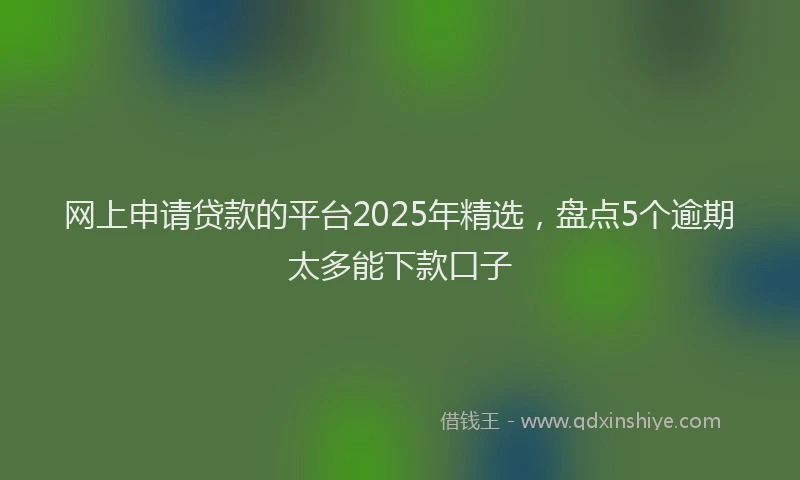 网上申请贷款的平台2025年精选，盘点5个逾期太多能下款口子