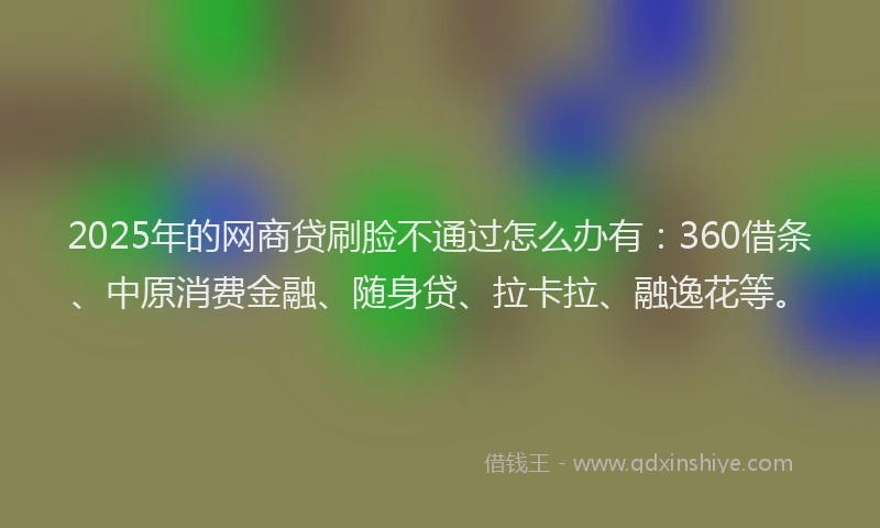 2025年的网商贷刷脸不通过怎么办有：360借条、中原消费金融、随身贷、拉卡拉、融逸花等。