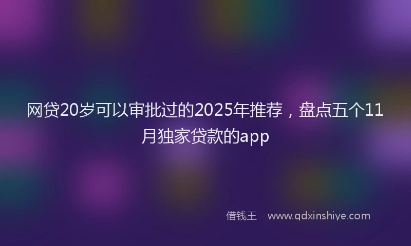 网贷20岁可以审批过的2025年推荐，盘点五个11月独家贷款的app