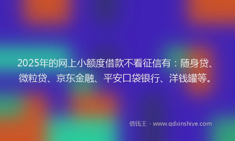 2025年的网上小额度借款不看征信有：随身贷、微粒贷、京东金融、平安口袋银行、洋钱罐等。