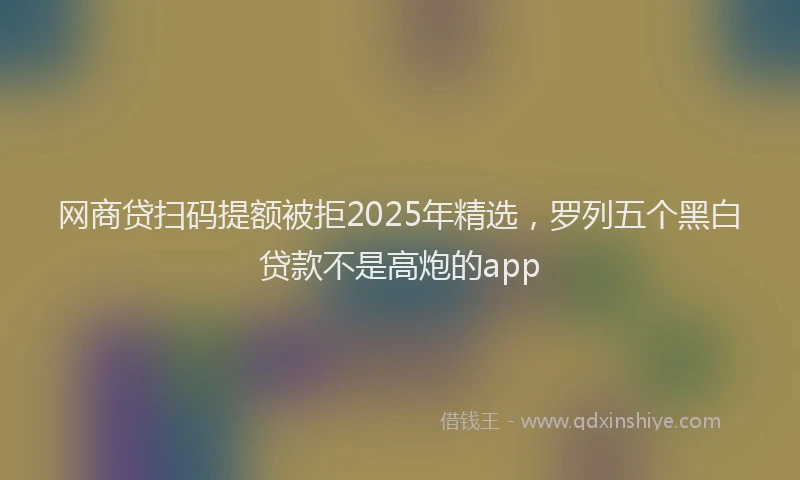 网商贷扫码提额被拒2025年精选，罗列五个黑白贷款不是高炮的app