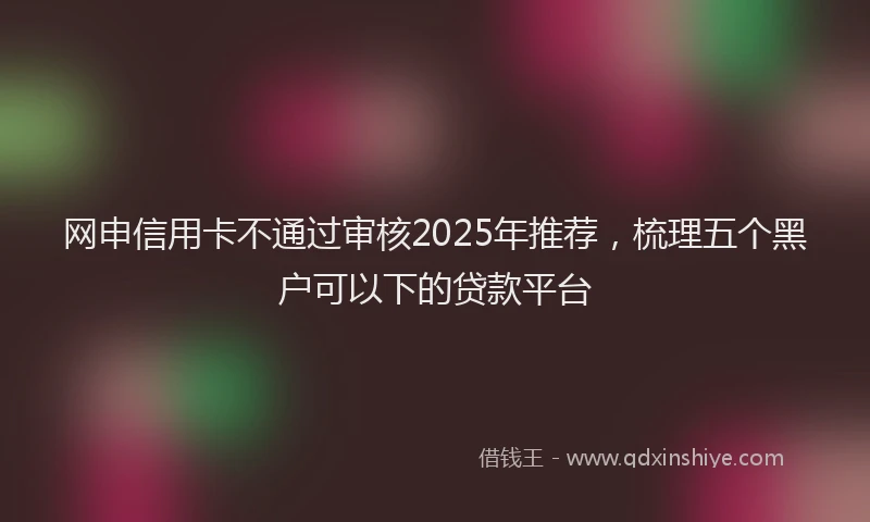 网申信用卡不通过审核2025年推荐，梳理五个黑户可以下的贷款平台