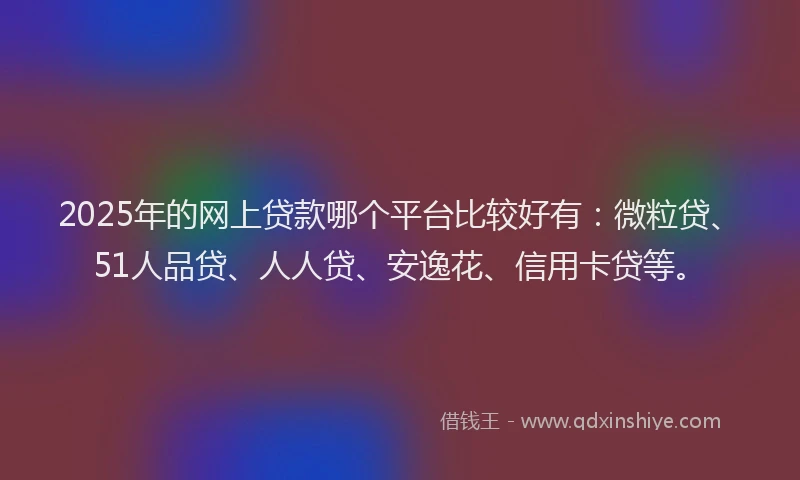 2025年的网上贷款哪个平台比较好有：微粒贷、51人品贷、人人贷、安逸花、信用卡贷等。