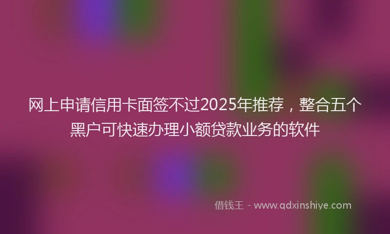 网上申请信用卡面签不过2025年推荐，整合五个黑户可快速办理小额贷款业务的软件