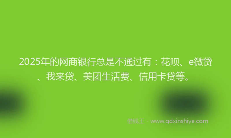 2025年的网商银行总是不通过有：花呗、e微贷、我来贷、美团生活费、信用卡贷等。