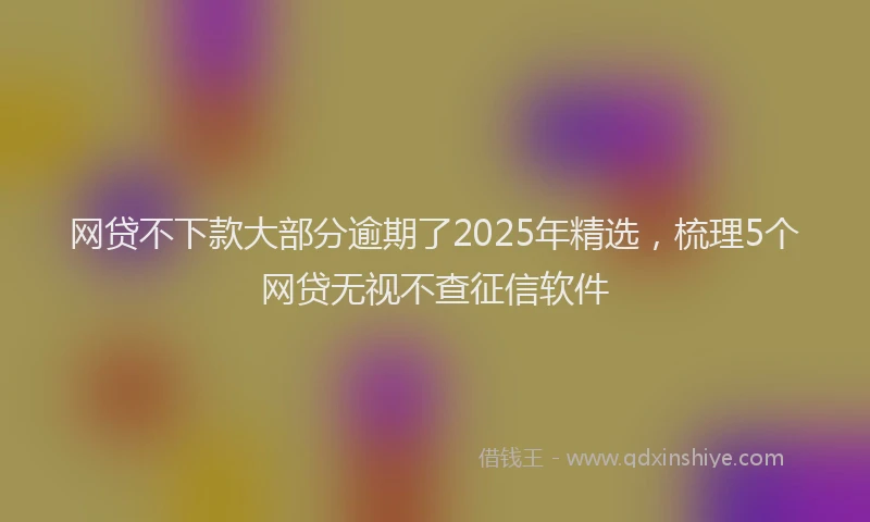 网贷不下款大部分逾期了2025年精选，梳理5个网贷无视不查征信软件
