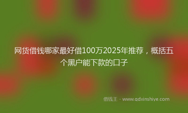 网货借钱哪家最好借100万2025年推荐，概括五个黑户能下款的口子