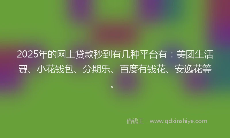 2025年的网上贷款秒到有几种平台有：美团生活费、小花钱包、分期乐、百度有钱花、安逸花等。