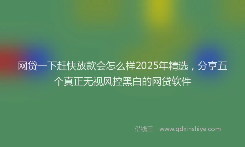网贷一下赶快放款会怎么样2025年精选，分享五个真正无视风控黑白的网贷软件