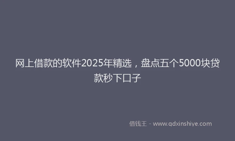 网上借款的软件2025年精选，盘点五个5000块贷款秒下口子