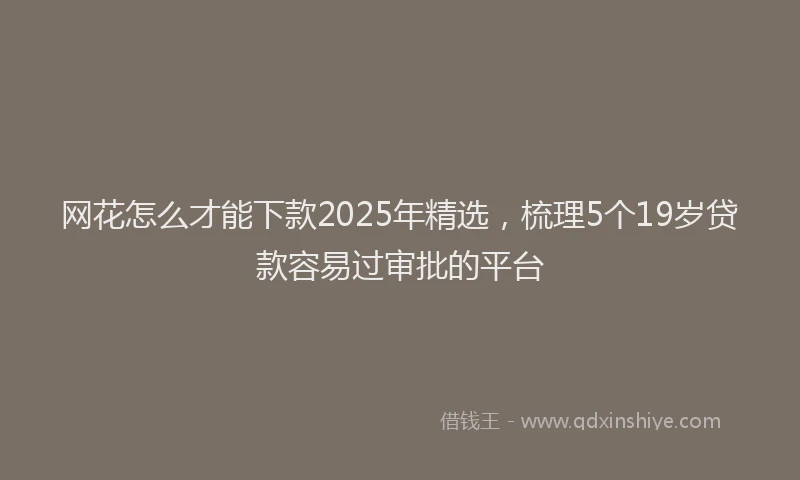 网花怎么才能下款2025年精选,梳理5个19岁贷款容易过审批的平台