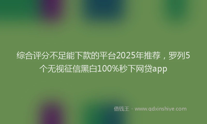 综合评分不足能下款的平台2025年推荐，罗列5个无视征信黑白100%秒下网贷app