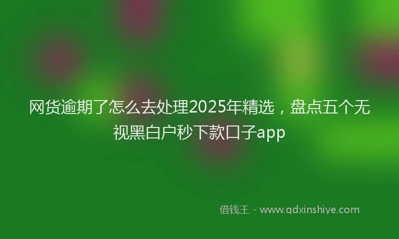 网货逾期了怎么去处理2025年精选，盘点五个无视黑白户秒下款口子app