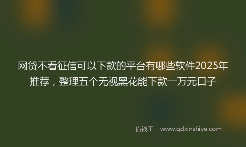 网贷不看征信可以下款的平台有哪些软件2025年推荐，整理五个无视黑花能下款一万元口子