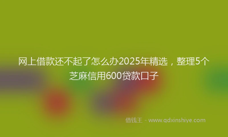 网上借款还不起了怎么办2025年精选，整理5个芝麻信用600贷款口子