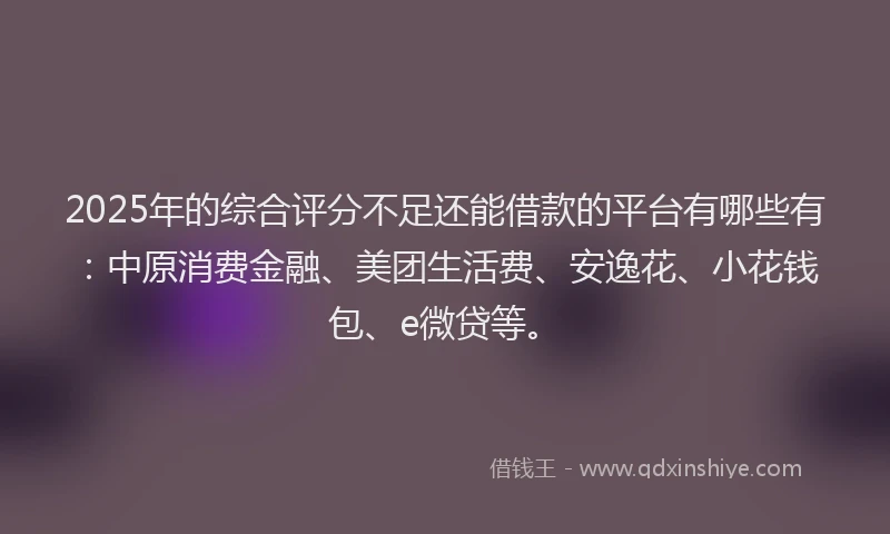 2025年的综合评分不足还能借款的平台有哪些有：中原消费金融、美团生活费、安逸花、小花钱包、e微贷等。