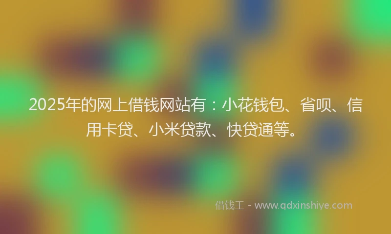 2025年的网上借钱网站有：小花钱包、省呗、信用卡贷、小米贷款、快贷通等。