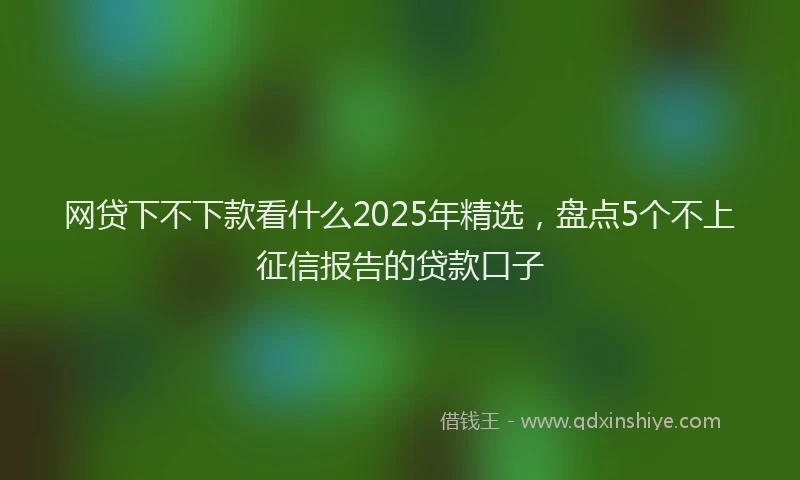 网贷下不下款看什么2025年精选，盘点5个不上征信报告的贷款口子